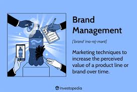 The Brand Manager Role in Modern Marketing