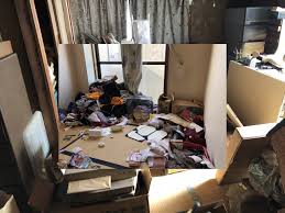 Understanding the Role of Waste Management Companies in Setagaya: A Guide to Decluttering Your Home