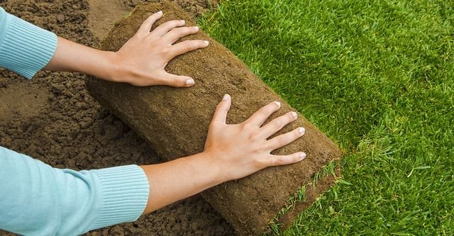 How to Find the Best Artificial Turf Near Me for Residential and Commercial Landscapes