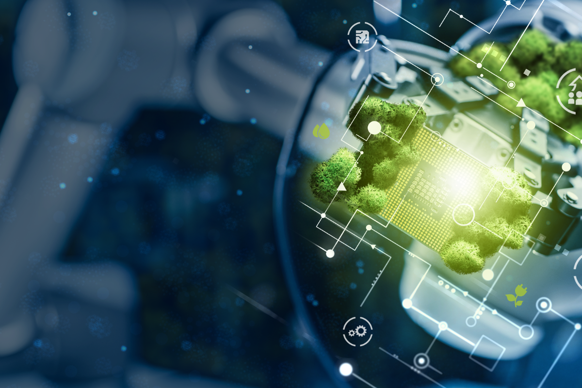 Why Sustainability Is So Important for Economic Stability